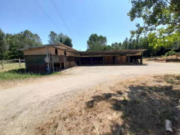 Immobile in asta di 188615 m² in vendita a Castelnuovo Berardenga - Foto 13