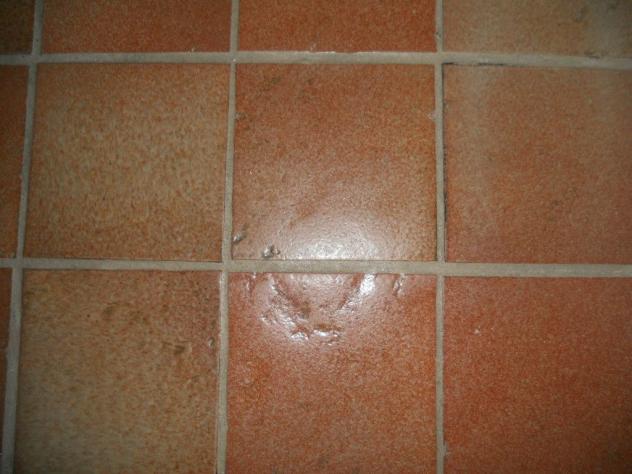Villa in vendita a Sarzana - Foto 8