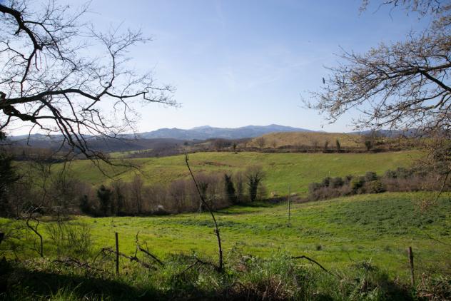 Seminativo in vendita a Civitella Paganico - Foto 3