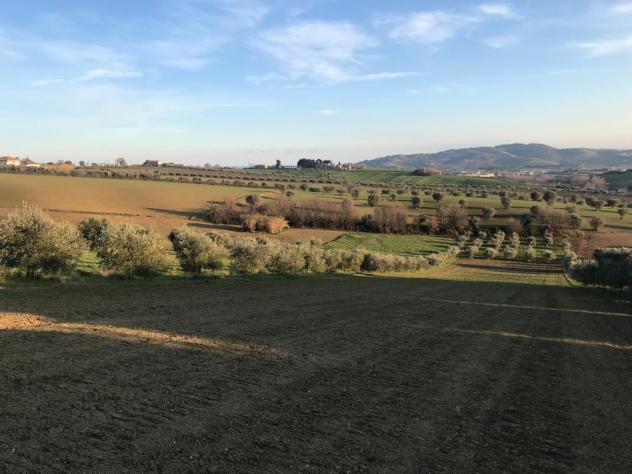 Terreno edificabile in vendita a Colonnella - Foto 12