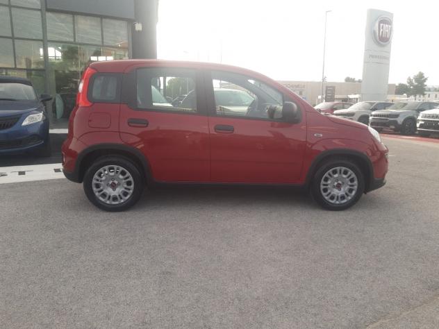 FIAT Panda 1.0 FireFly S&S Hybrid - Foto 7
