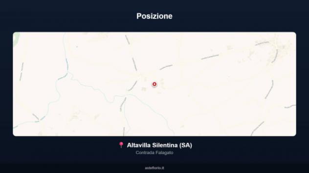 Immobile in asta di 4606 m² in vendita a Altavilla Silentina - Foto 9
