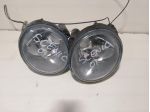 FENDINEBBIA ANTERIORE RENAULT Scenic Serie (9903)