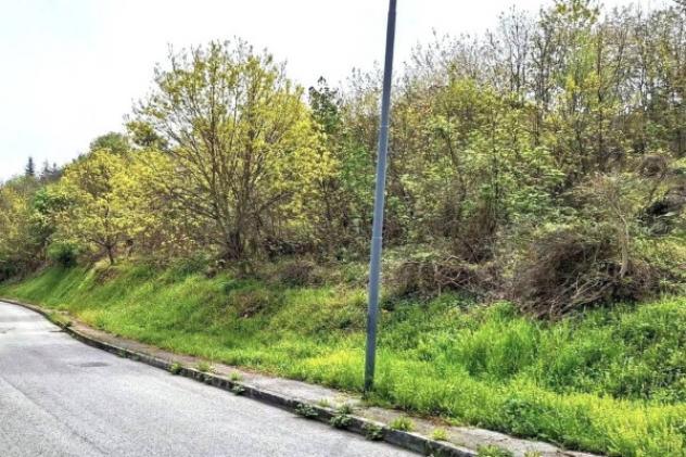 Immobile in asta di 3328 m² in vendita a Cingoli - Foto 4