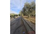 Aretina - Terreno agricolo - Uliveto fronte strada