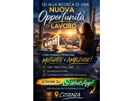 Cerchiamo partner commerciali a Cosenza e provincia per progetto di espansione