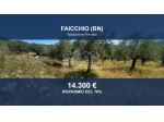 Immobile in asta di 7770 m² in vendita a Faicchio