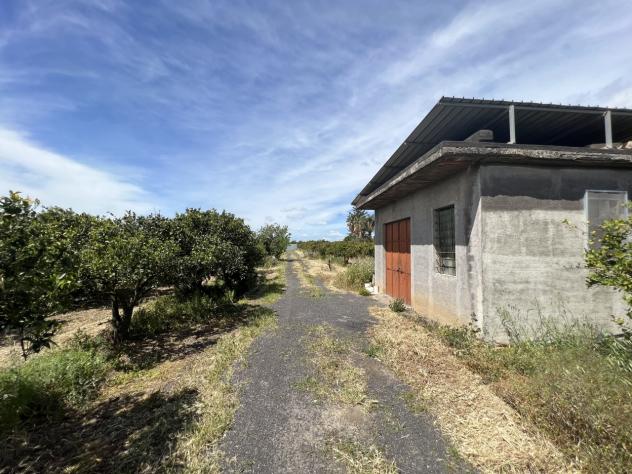 Agricolo in vendita a Motta Sant'Anastasia - Foto 7