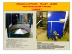 Caldaia a combustibili solidi