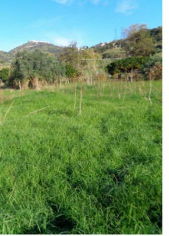 Immobile in asta di 151 m² in vendita a Guiglia - Foto 6
