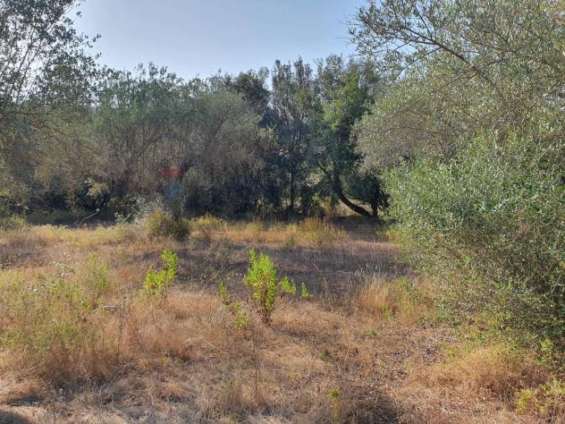 Terreno in vendita a Caltagirone, Santo Pietro - Foto 4