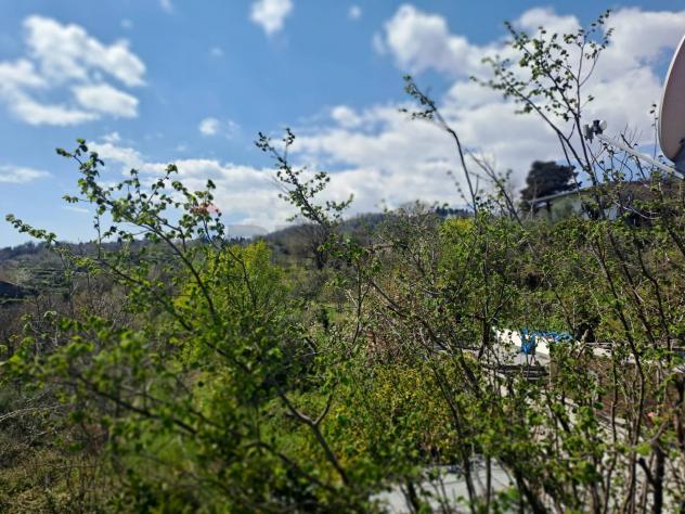 Terreno in vendita a Mascali, Montargano - Foto 5