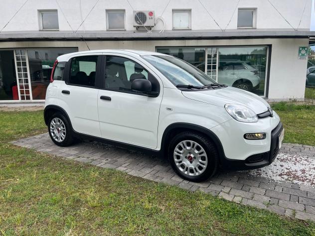 FIAT Panda 1.0 FireFly 70cv S&S Hybrid - Foto 8