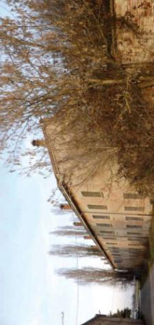 Immobile in asta di 139833 m² in vendita a Agazzano - Foto 5