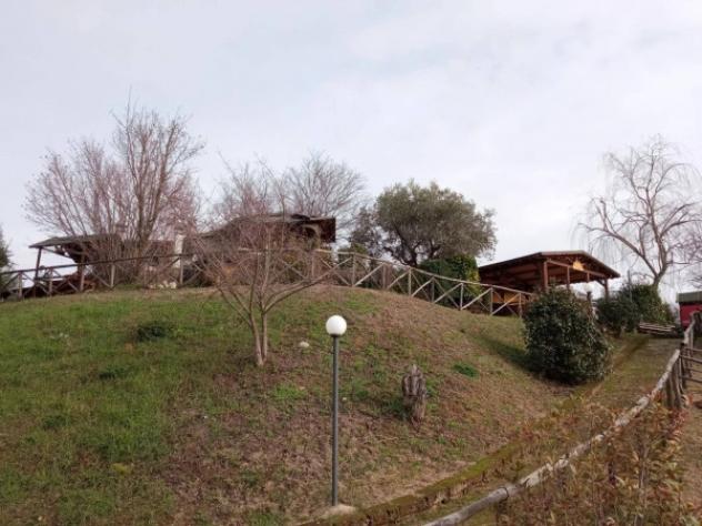 Immobile in asta di 760 m² in vendita a Torricella Sicura - Foto 6