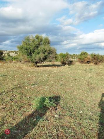 Terreno edificabile in Vendita in Contrada La Gemmazza Di Monasteri a Siracusa - Foto 2