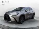 Lexus NX Hybrid 4WD Premium