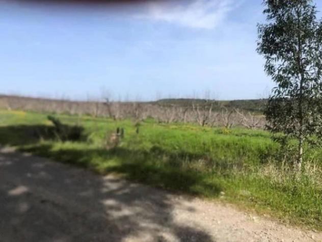 Immobile in asta di 2485532 m² in vendita a Pisticci - Foto 5