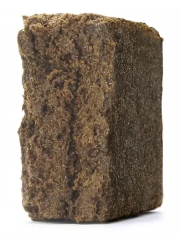 Burbuka