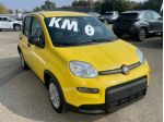 FIAT Panda 1.0 FireFly S&S Hybrid Pandina rif. 23992882