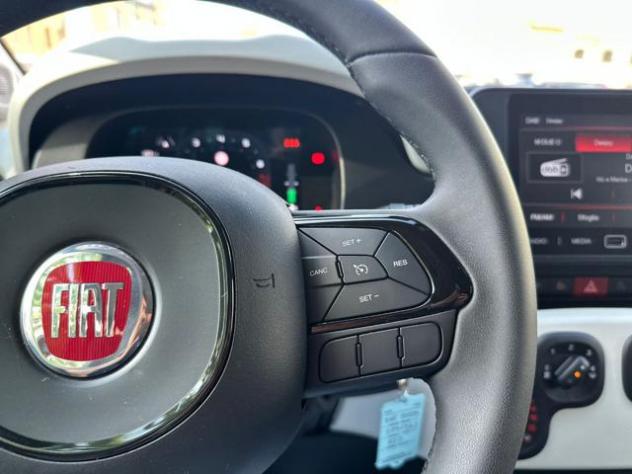 FIAT Panda 1.0 FireFly S&S Hybrid Pandina Cross rif. 23899573 - Foto 7
