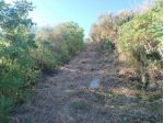 Rustico/Casale/Corte - Cefalù . Rif.: BAI201 - 07/2026VRG