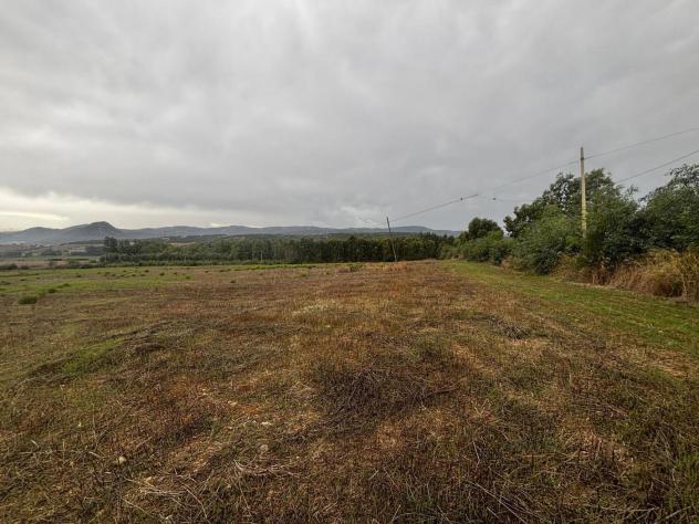 Terreno Agricolo - Villamassargia . Rif.: Cod. rif 3281097VRG - Foto 2