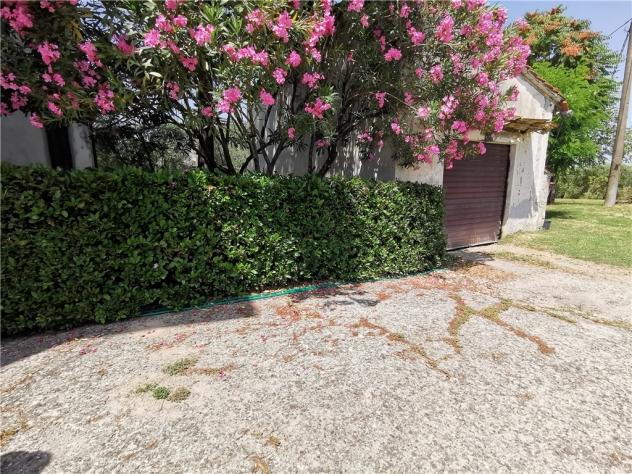 Terratetto in vendita a Isola - San Miniato 480 mq Rif: 1277471 - Foto 9