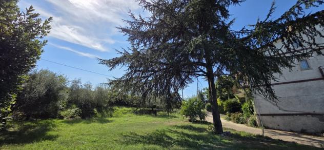 Casale in vendita a Morlupo - Foto 18