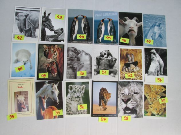 ANIMALI MISTI CARTOLINA 10 X15 collezione vintage SCEGLI la preferita - Foto 3