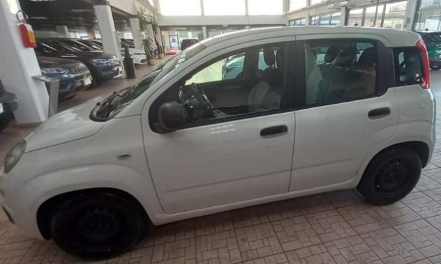 FIAT Panda 1.3 MJT 80 CV S&S Easy rif. 23950221 - Foto 4