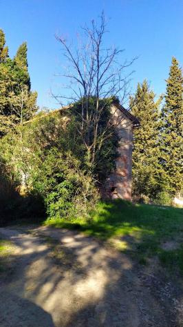 Bellissimo Casale Diruto Da Restaurare Immerso nel Verde delle Colline Pisane della Valdera - Foto 5