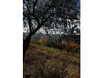 Terreno di 1637 m² in vendita a Val Liona