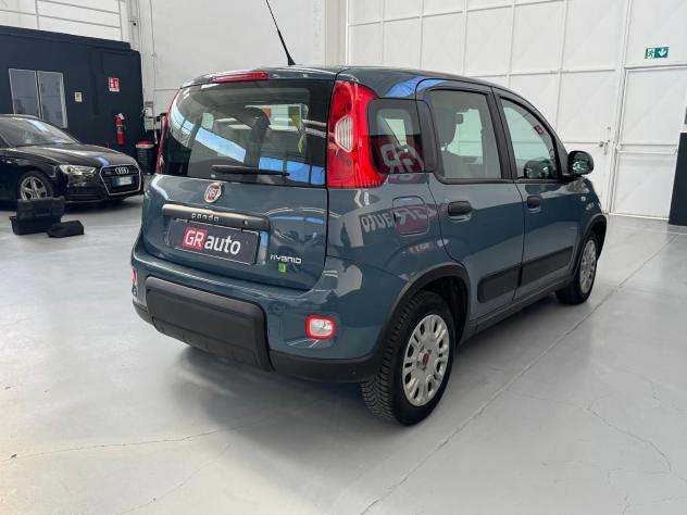 FIAT Panda Panda van 1.0 hybrid Street 70cv 4p.ti serie 4 E6d - Foto 5