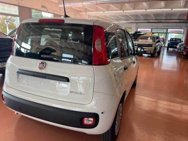 FIAT Pandina 1.0 FireFly 65 CV Hybrid Icon rif. 24091650 - Foto 4