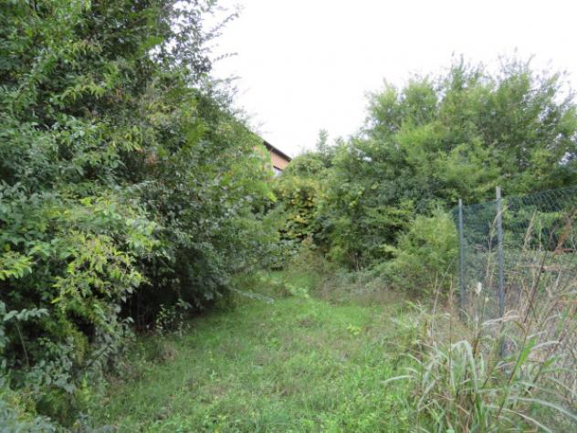 Immobile in asta di 2316 m² in vendita a Boschi Sant'Anna - Foto 17