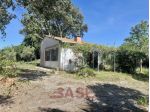 Villa in vendita a Cecina