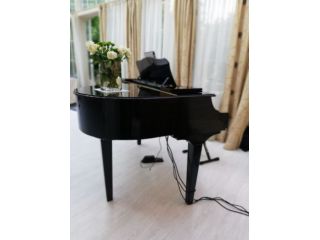 Lezioni pianoforte per professionisti ed amatori a Rho e Pero