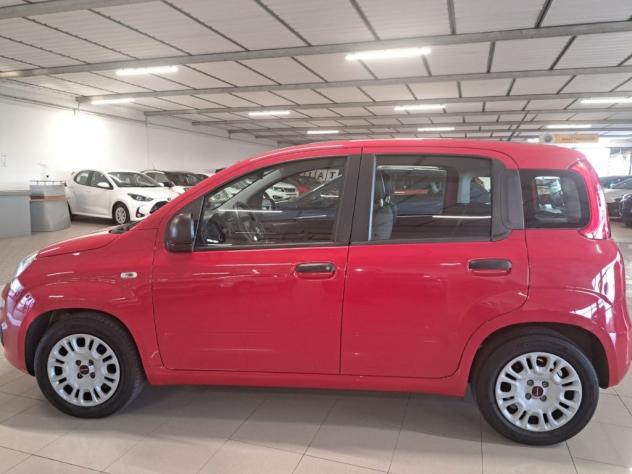 FIAT Panda III 2021 1.0 firefly hybrid s&s 70cv - Foto 7