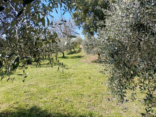 Villetta bifamiliare in vendita a Le Grazie - Colle di Val d'Elsa 200 mq Rif: 1419378 - Foto 2