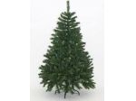 Albero di Natale con luci e decorazioni