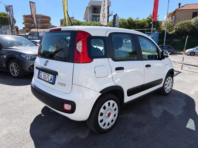Fiat Panda 1.0 HYBRID 69CV *35.000 KM CERTIFICATI** - Foto 4