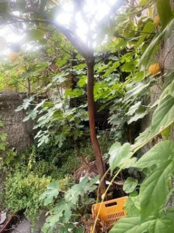 Immobile in asta di 167 m² in vendita a Patti - Foto 11