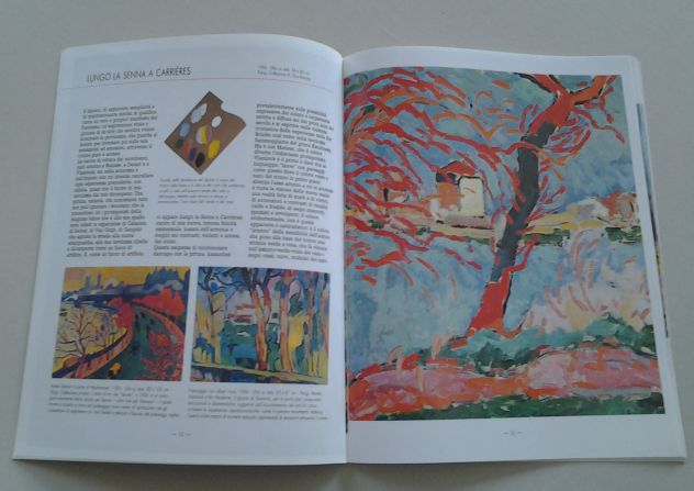 VLAMINCK - Foto 5