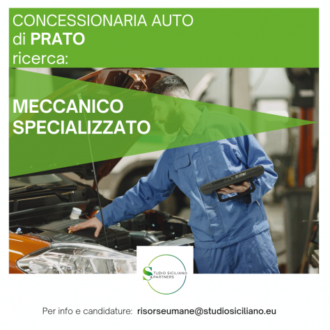 Meccanico Autoriparatore