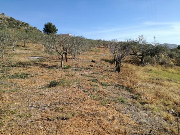Agricolo in SP126 - Foto 14