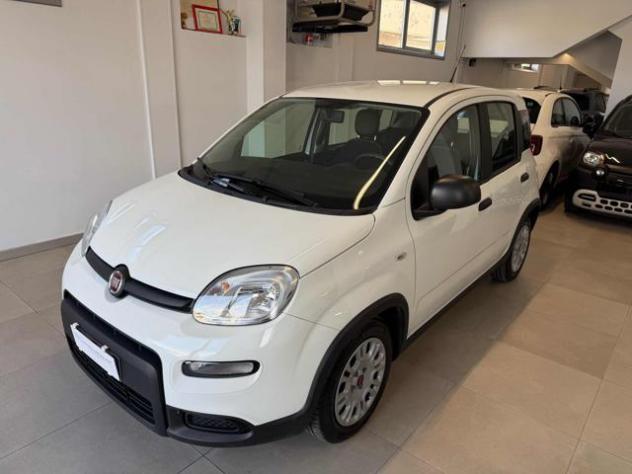 FIAT Panda 1.0 FireFly S&S Hybrid rif. 24203036