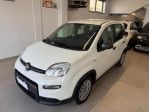 FIAT Panda 1.0 FireFly S&S Hybrid rif. 24203036