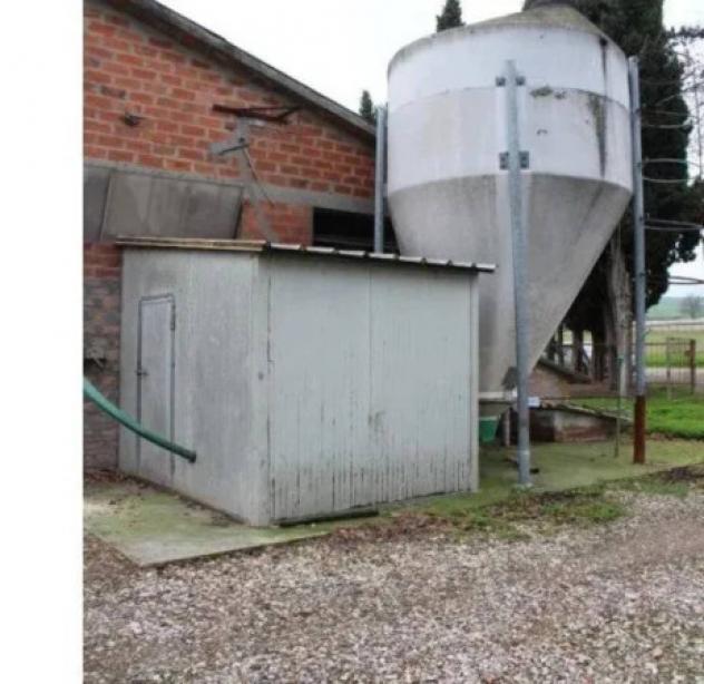 Immobile in asta di 1055 m² in vendita a Meldola - Foto 6