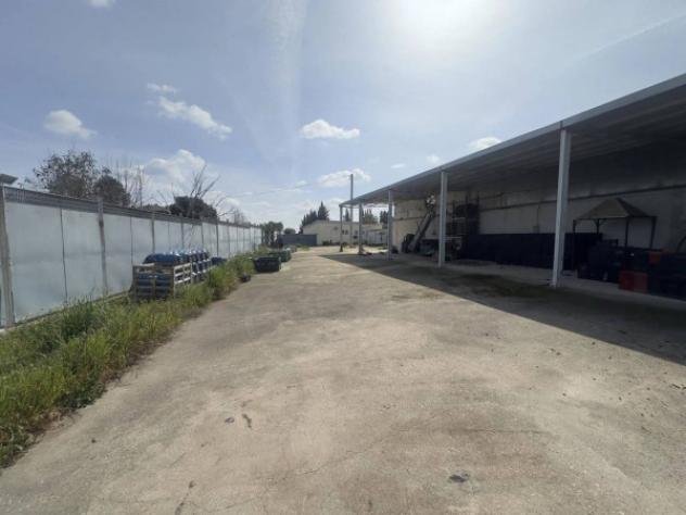 Immobile in asta di 2260 m² in vendita a Trani - Foto 13